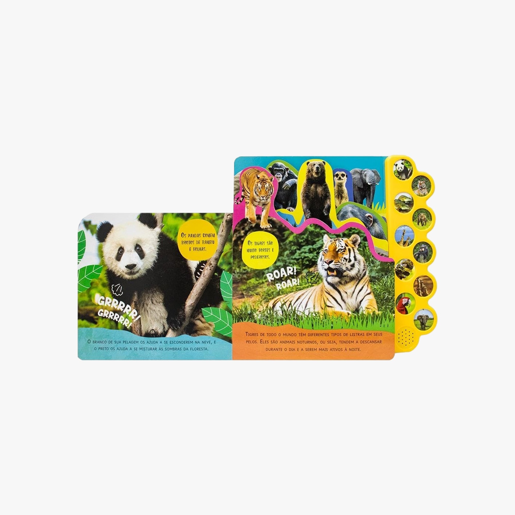 Livro Infantil Leia e Ouça Animais