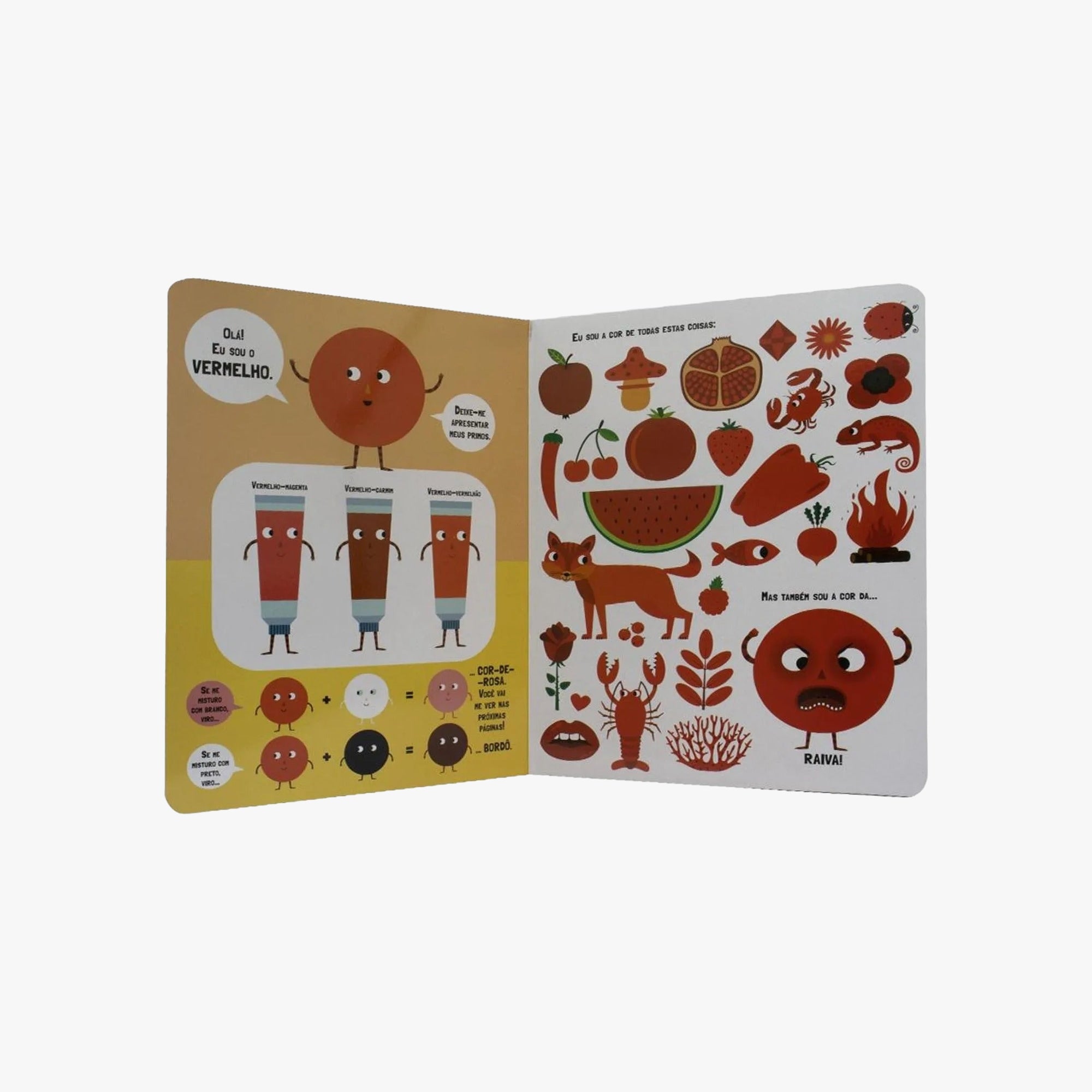 Meu Grande Livro Cores