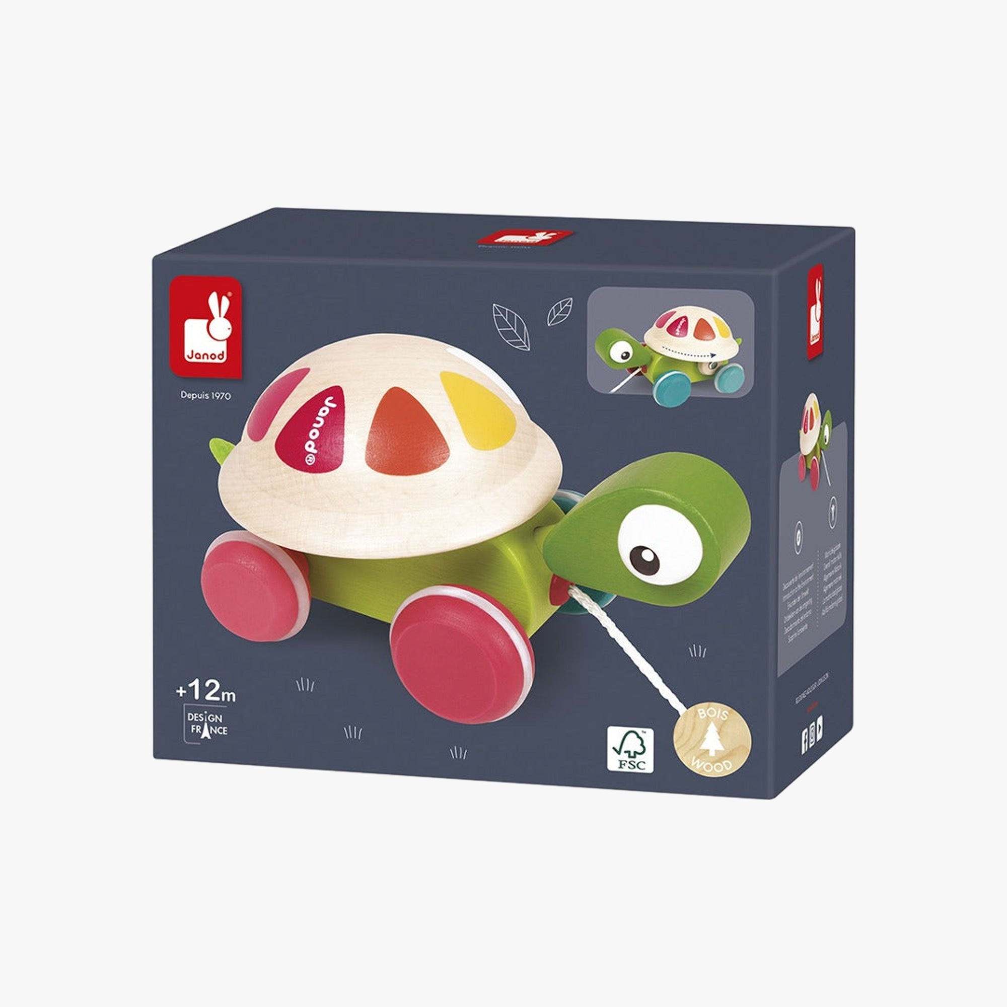 Brinquedo Infantil Tartaruga Para Passear com Rodinhas