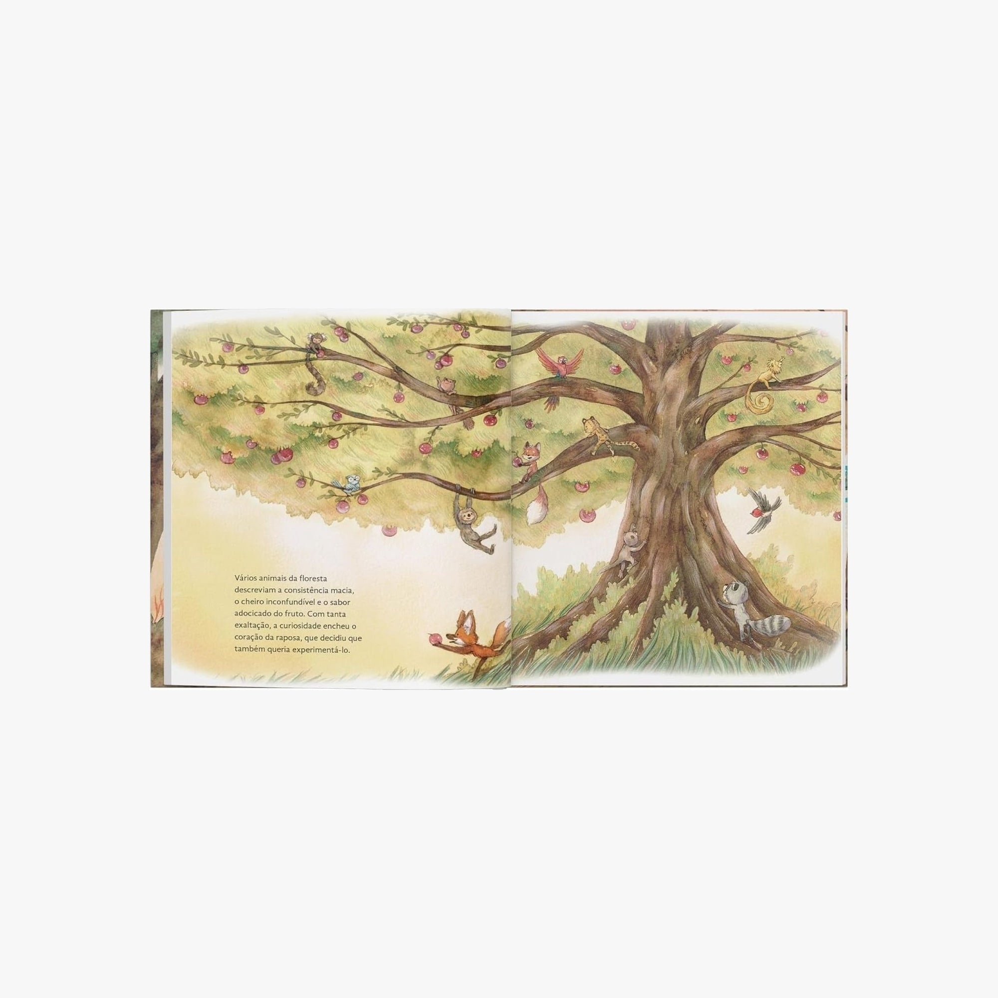 Livro Infantil Enquanto Ana Espera